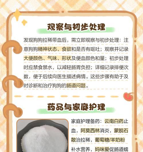 幼犬拉稀应采取的措施与药物治疗（了解幼犬拉稀的原因及预防措施）