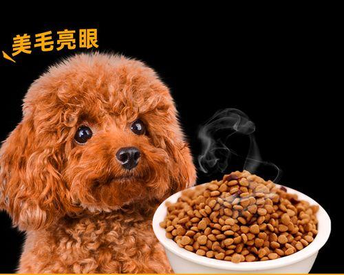 如何解决泰迪小狗的泪痕问题（从饮食、眼部护理到训练，轻松应对泰迪小狗的泪痕）
