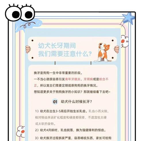 狗的换牙过程及其影响（了解狗狗的换牙，让你成为贴心的主人）