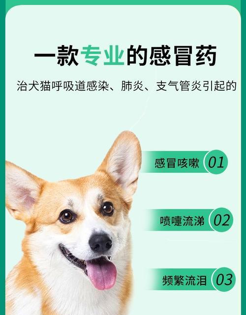 猫咪感冒药失效时间有多久？（揭秘猫咪感冒药的有效期限及注意事项）