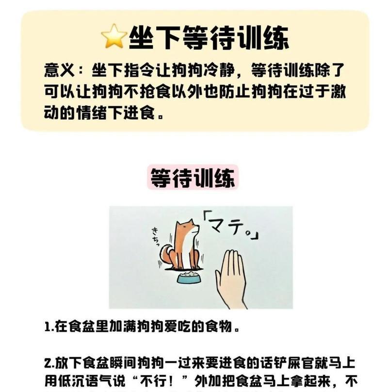 幼犬大小便的规律与训练（掌握幼犬大小便的时间表，培养良好的排泄习惯）