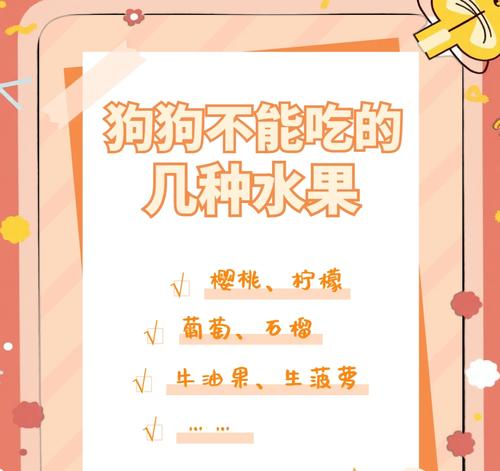 狗狗能不能吃骨头？解析真相与正确喂食方式（了解狗狗骨头摄入的利弊及如何科学喂食）