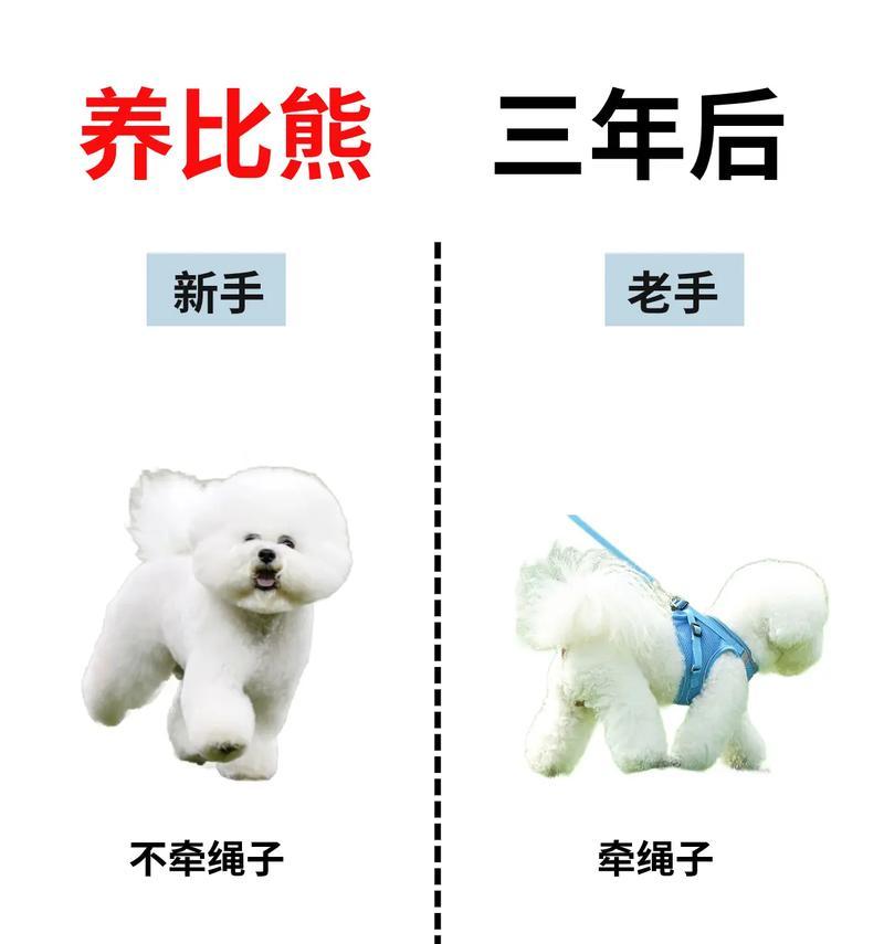 家里养狗臭尿骚味？尝试这些方法，彻底去除！（让你的家恢复清新的秘诀与技巧）