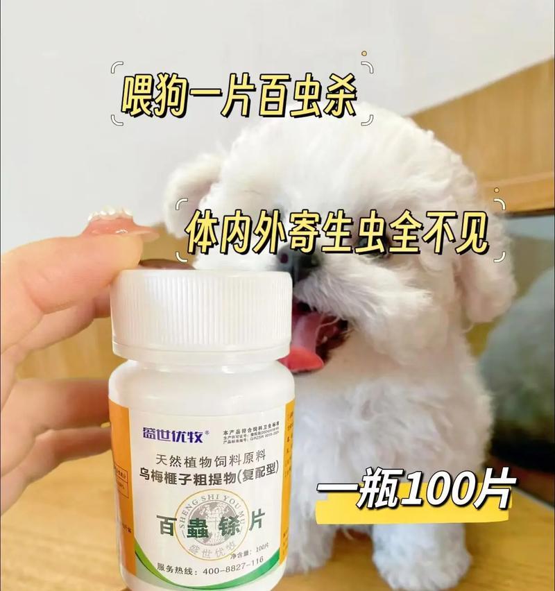 狗吃驱虫药的最佳时间是什么？（探讨狗狗吃驱虫药的最佳时间和关键因素）