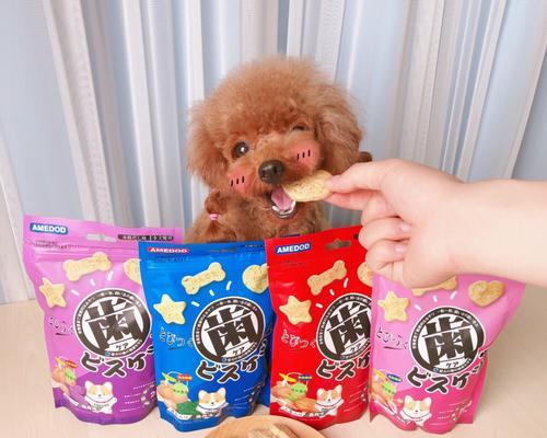 人类零食中狗可以吃的种类有哪些？（探讨适合狗狗食用的人类零食种类及注意事项）