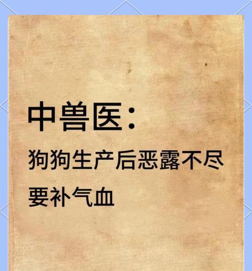 母狗剖腹产后流血情况及持续时间研究（了解狗狗剖腹产后的恢复过程和注意事项）