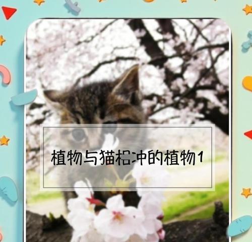 小猫不能吃的植物，警惕它们对猫咪的危害（小心！这些植物或许是你家猫咪的潜在杀手）