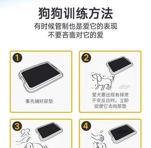 狗狗尿垫应该多久换一次？（如何确定更换狗狗尿垫的最佳时机）