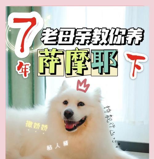 养萨摩耶的优点与缺点剖析（了解这些，再决定是否适合你）