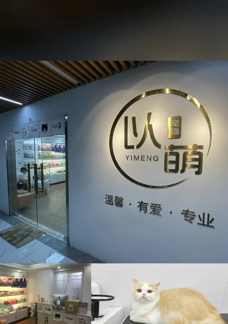 宠物猫洗澡的频率与注意事项（宠物猫每周一次洗澡的关键）