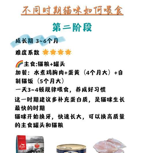 小猫断奶后的喂养频率（科学喂养是宠物猫健康成长的关键）