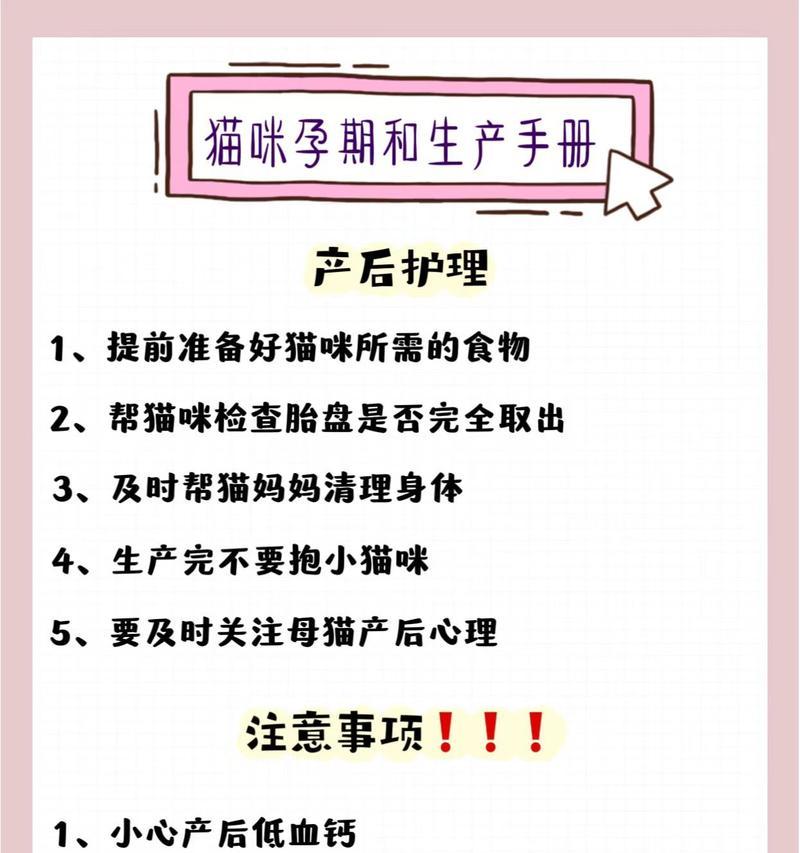 揭秘猫咪生育（了解猫咪生育周期，让爱宠更健康快乐）