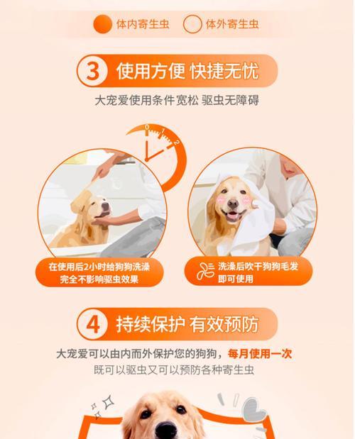 狗狗食用打虫药后的恢复时间