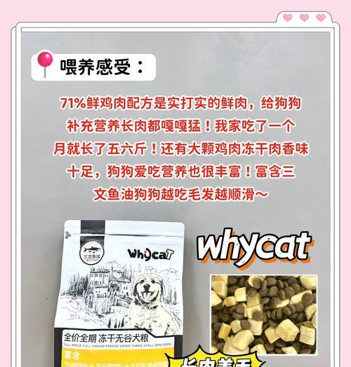 幼狗狗粮泡多久最适宜？（探究幼狗狗粮泡水时间的关键因素与合理时间选择）