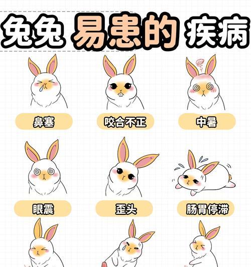 兔子中暑的康复时间及治疗措施（探究兔子中暑的恢复时间和正确的治疗方法）