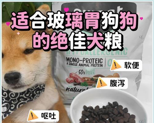 解决狗狗呕吐拉稀问题，享受健康美食（简单便宜的方法让狗狗吃啥啥香，告别消化问题）