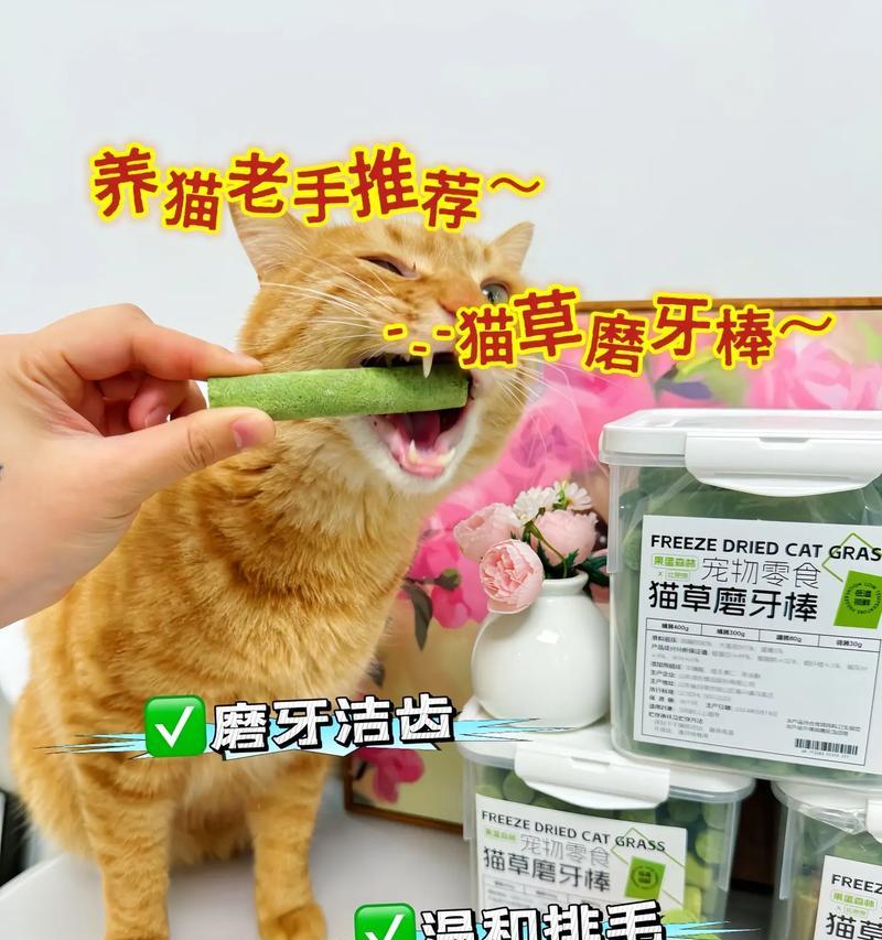 猫的磨牙期有多久？（揭秘猫咪牙齿生长周期，助你了解宠物健康！）