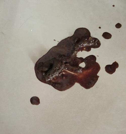 狗狗呕吐带血的原因及处理方法（了解狗狗呕吐带血的可能原因以及如何妥善处理）