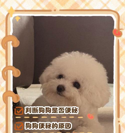 狗狗拉粑粑稀多久才好？（了解狗狗拉稀情况的关键）