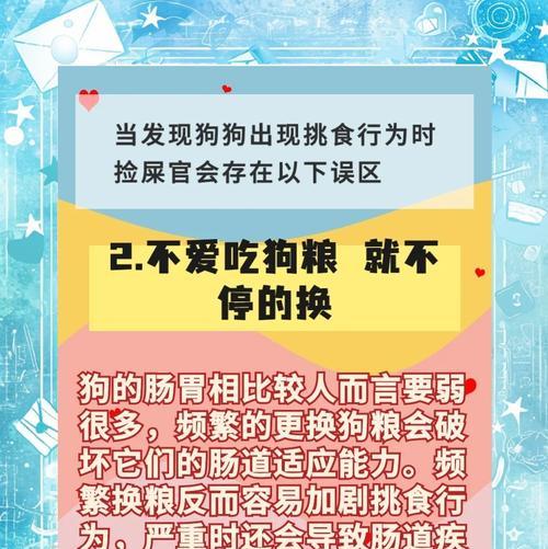 如何解决狗狗不喜欢吃东西的问题？（探索可能导致狗狗不爱吃饭的原因及应对方法）