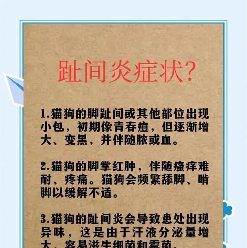 猫咪趾间炎（预防猫咪趾间炎的重要性与常见症状）