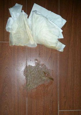 狗狗狗粮泡多久合适？（科学喂养的关键在于泡粮时间掌握好）