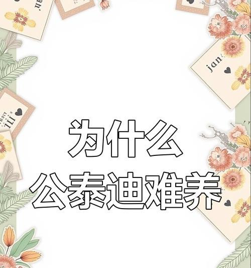 为什么我不再劝你养公泰迪（揭示公泰迪养育的缺点及难以接受的原因）