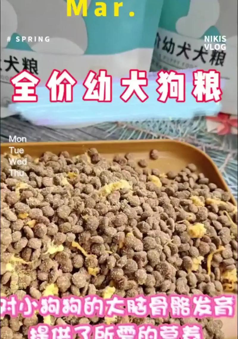 以奶狗喂狗粮（为你的幼犬提供健康的饮食方式）