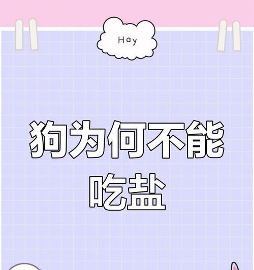 狗狗为什么不能吃盐？（探究盐对狗狗的危害及替代食物）