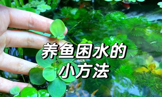 养鱼晒水，（养鱼晒水要多久才合适？）
