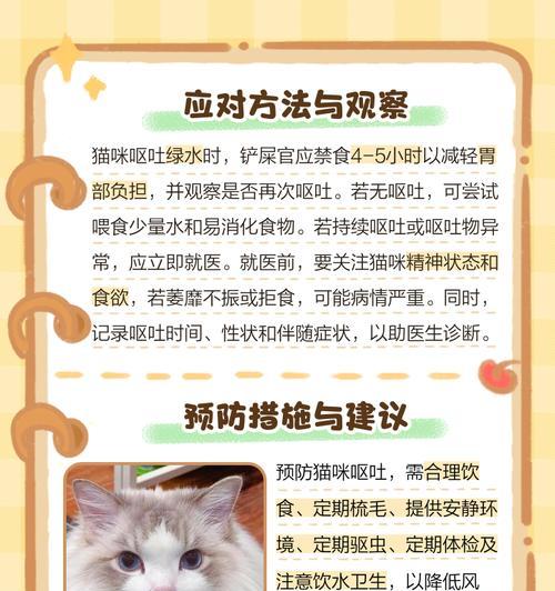猫吃了猫草多久会吐？（了解猫吃猫草的影响及持续时间）