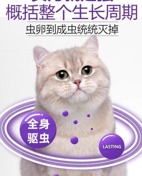 猫体外驱虫要带多久圈（科学的驱虫时间表，保护爱猫健康）