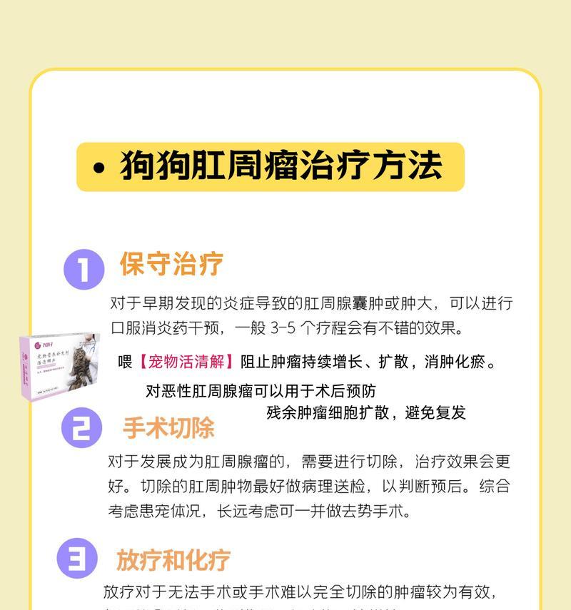 狗肛周瘤的症状（了解狗肛周瘤的常见症状及注意事项）