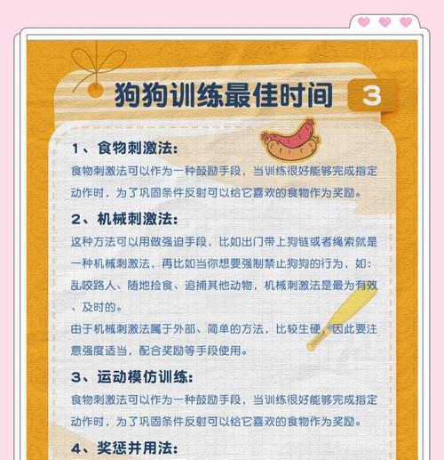 如何帮助胆小紧张的狗狗变得自信（8招教你改变你的狗狗，让它不再胆小紧张）