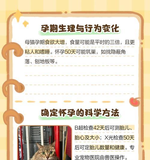 了解猫咪怀孕周期，轻松掌握摸出母猫怀孕的方法（了解猫咪怀孕周期，轻松掌握摸出母猫怀孕的方法）