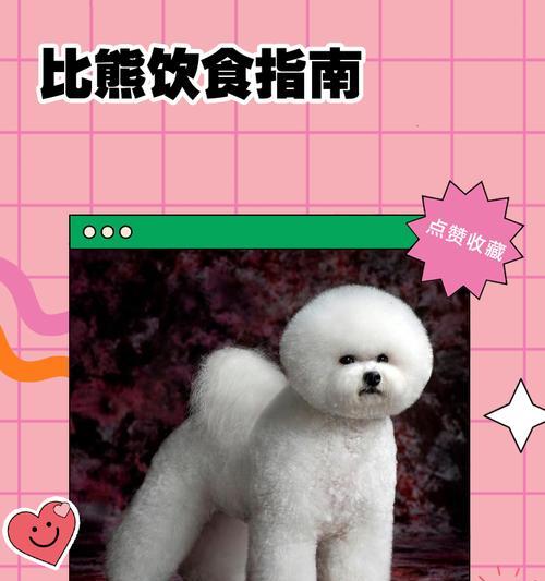 比熊毛发变硬的时间是多久？（探索比熊毛发硬化的关键因素以及其影响因素）