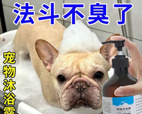 以法牛的洗澡频率（了解以法牛洗澡的合适时间间隔）