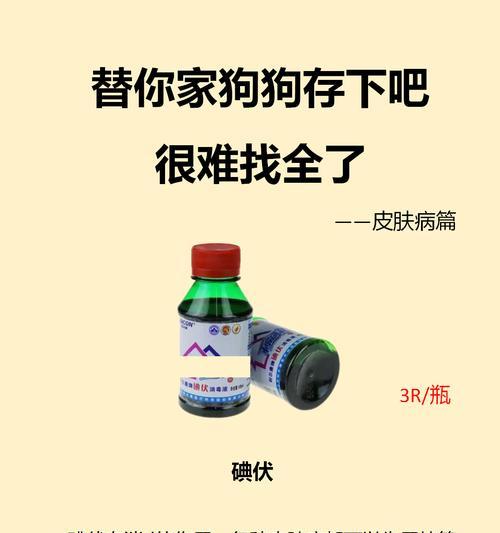 狗狗烫伤的康复之路（了解狗狗烫伤的治愈时间及护理方法）