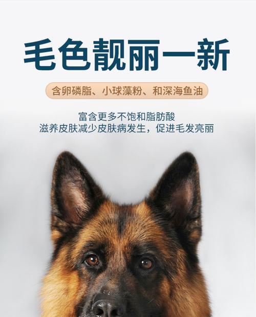 马犬狗粮泡水时间与食用方法（探究以马犬狗粮泡水时间的最佳选择，以及正确的食用方式）