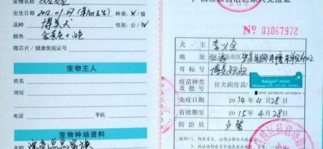 办理检疫证和免疫证的时间及流程分析（办理时间、申请材料、流程详解，办事效率提升）