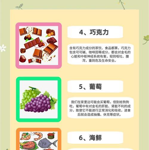 如何为金毛提供充足的营养需求（金毛每顿食量掌握，关键在于什么？）