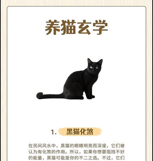 养猫的好处与坏处（探索与喵星人的生活）