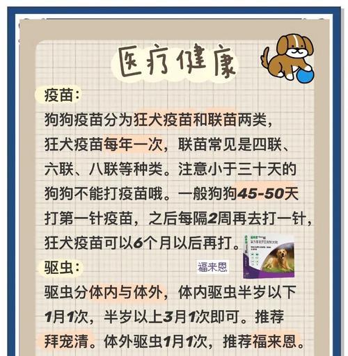 金毛犬三个月大时适应笼子需要多长时间？（金毛犬适应笼子的关键因素及培养方法）