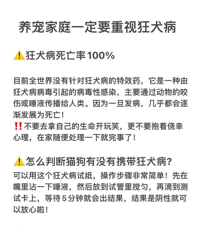 狗狗狂犬病潜伏期揭秘（了解狗狗狂犬病的潜伏期对预防至关重要）
