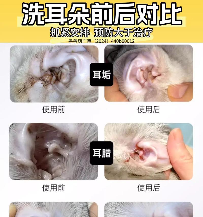 猫耳螨治疗的时间长短取决于严重程度（猫耳螨治疗所需时间因人而异，但严重程度是关键）