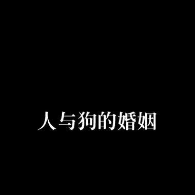 狗的交配行为及时长探析（揭秘狗狗交配时的时间长度与因素）