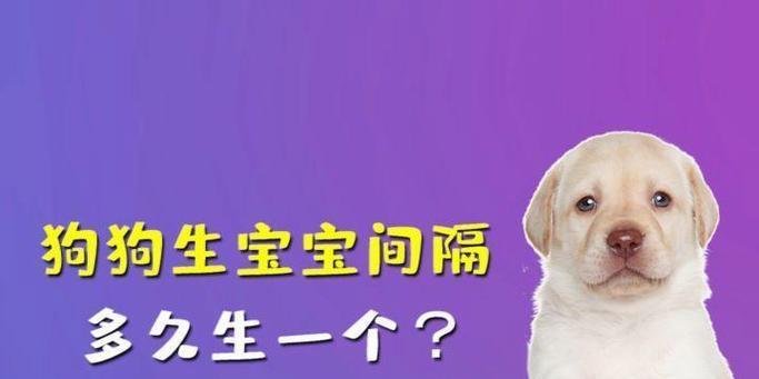 狗狗生完宝宝后身体恢复需要多久？（了解狗狗产后恢复期，关爱母犬健康）