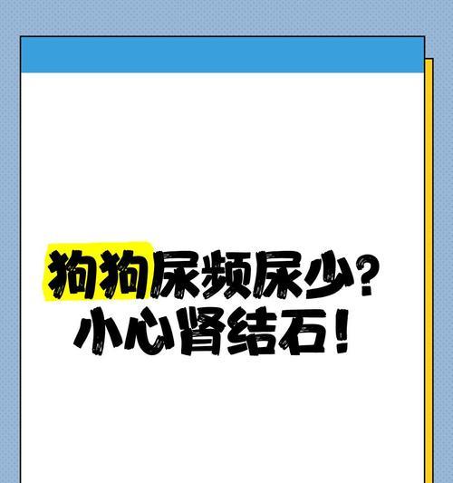 狗狗喝水少，小心患尿毒症！（如何预防和处理狗狗喝水少、尿量减少的问题）