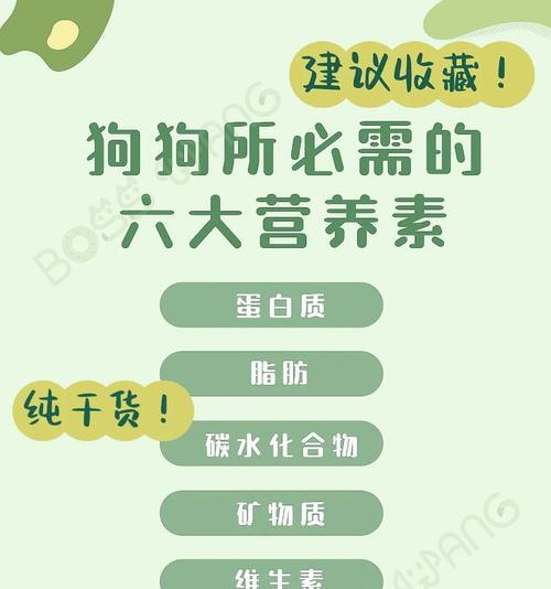 宠物犬的理想喂食时间是多久？（探讨宠物犬饮食时间的重要性和建议）
