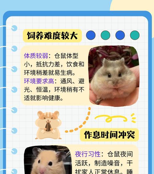 延长仓鼠寿命的有效方法（正常饲养仓鼠，提高其寿命）